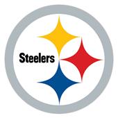NFL Pittsburgh Steeler Logo 12" Die Cut Car Magnet NFL Pittsburgh Steeler Logo 12" Die Cut Car Magnet