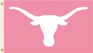 COLLEGIATE Texas PINK 3' x 5' Flag