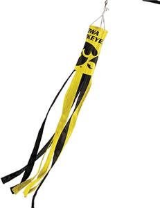 COLLEGIATE Iowa Windsock w/Streamers