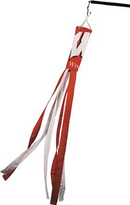 COLLEGIATE Wisconsin Windsock w/Streamers