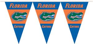 COLLEGIATE Florida Party Pennant Flags