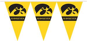 COLLEGIATE Iowa Party Pennant Flags