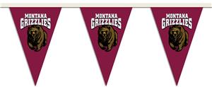 COLLEGIATE Montana Party Pennant Flags