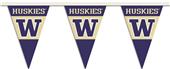 COLLEGIATE Washington Party Pennant Flags