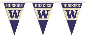 COLLEGIATE Washington Party Pennant Flags