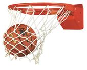 Bison Elite Breakaway Basketball Goal Bison Elite Breakaway Basketball Goal