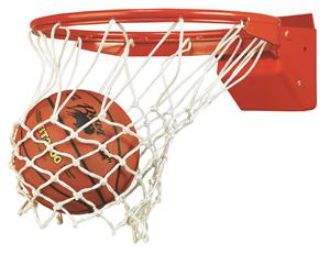 Bison Elite Breakaway Basketball Goal