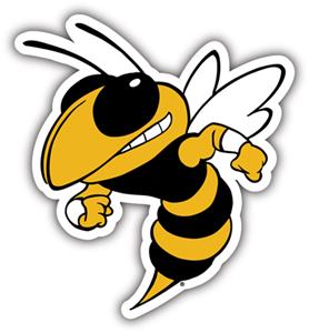 COLLEGIATE Georgia Tech 12" Vinyl Magnet
