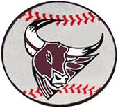 Fan Mats Mesa State College Baseball Mat