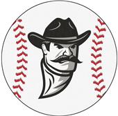 FanMats New Mexico State University Baseball Mat FanMats New Mexico State University Baseball Mat