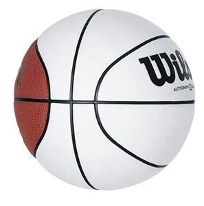 Wilson Mini Autograph Basketballs (SET OF 6)