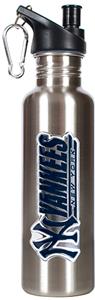 MLB New York Yankees 26oz Stainless Water Bottle