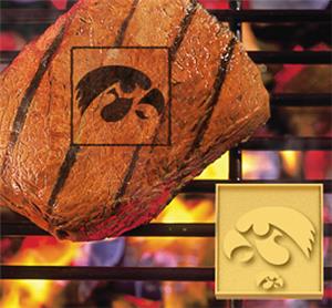 Fan Mats University of Iowa Fan Brands
