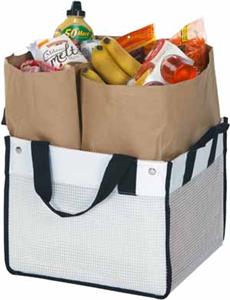 Picnic Plus Recycled Resins Reuze Car Tote