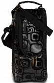 Picnic Plus Single Bottle Insulated Tote