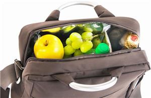 Picnic Plus Magellan Cooler Bag w/ Aluminum Handle