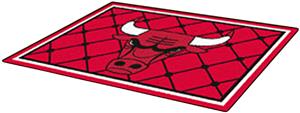 Fan Mats Chicago Bulls 5' x 8' Rugs