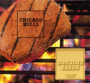 Fan Mats Chicago Bulls Fan Brands