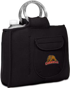 Picnic Time Cornell University Milano Lunch Tote