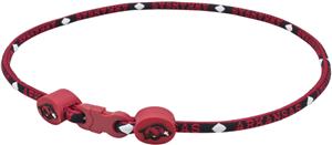Eagles Wings NCAA Arkansas Titanium Sport Necklace