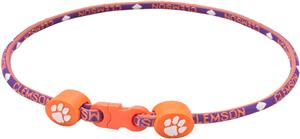 Eagles Wings NCAA Clemson Titanium Sport Necklace