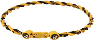 Eagles Wings NCAA Missouri Titanium Twist Necklace