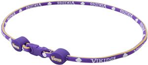 Eagles Wings NFL Minnesota Titanium Sport Necklace