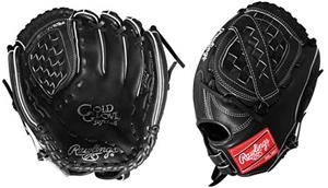 Rawlings Gold Fastpitch Softball Gloves GG20FPB