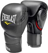 Everlast Protex 2 Muay Thai MMA Gloves