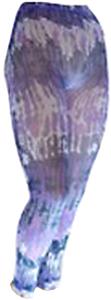 Nouvella Womens Drizzle Sublimated Footless Tights