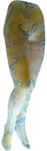 Nouvella Womens Lime Paisley Sublimated Tights