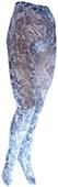 Nouvella Womens Gray Gator Sublimated Tights Nouvella Womens Gray Gator Sublimated Tights
