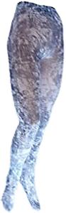 Nouvella Womens Gray Gator Sublimated Tights