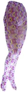 Nouvella Womens Kaleidoscope Sublimated Tights