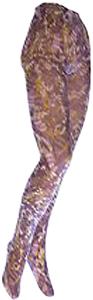 Nouvella Womens Purple Feathers Sublimated Tights