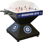 Holland NHL Winnepeg Jets Dome Hockey Game