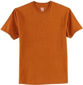 Hanes Adult Tagless 100% Cotton T-Shirts