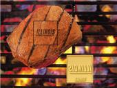 Fan Mats University of Illinois Fan Brands Fan Mats University of Illinois Fan Brands