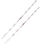 Blazer Athletic Deluxe 1M Collegiate Antenna Pair Blazer Athletic Deluxe 1M Collegiate Antenna Pair