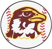 Fan Mats Quincy University Baseball Mat Fan Mats Quincy University Baseball Mat