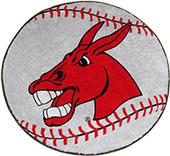 Fan Mats Univ. of Central Missouri Baseball Mat