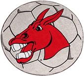 Fan Mats Univ. of Central Missouri Soccer Ball Mat