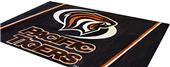 Fan Mats University of the Pacific 4x6 Rug