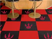 Fan Mats Toronto Raptors Team Carpet Tiles