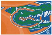 Northwest NCAA Florida Gators Cosmic Rugs