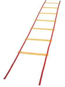 Champion Sports Economy Agility Ladder