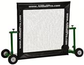 Sportworx AllBall Pro Premier 5 5' x 5'