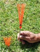 Fold-A-Goal Whiskers for Field Markings Soccer Fold-A-Goal Whiskers for Field Markings Soccer