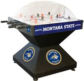 Holland Montana State University Dome Hockey Game