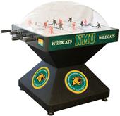 Holland Northern Michigan Univ Dome Hockey Game